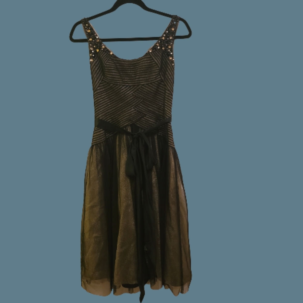 NEW BCBGMAXAZRIA Formal Dress